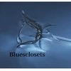 bluesclosets